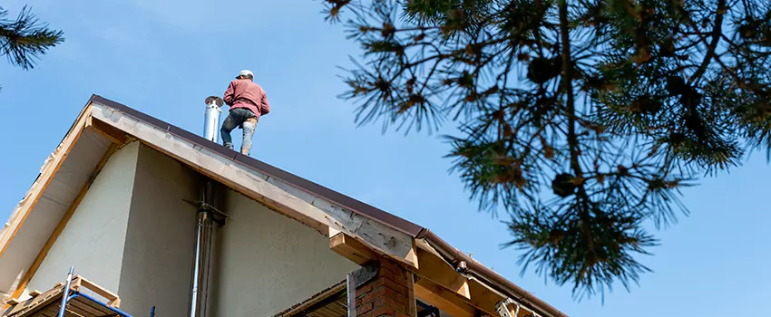 Birds Removal Contractors from Chimney in Buckingham, CO